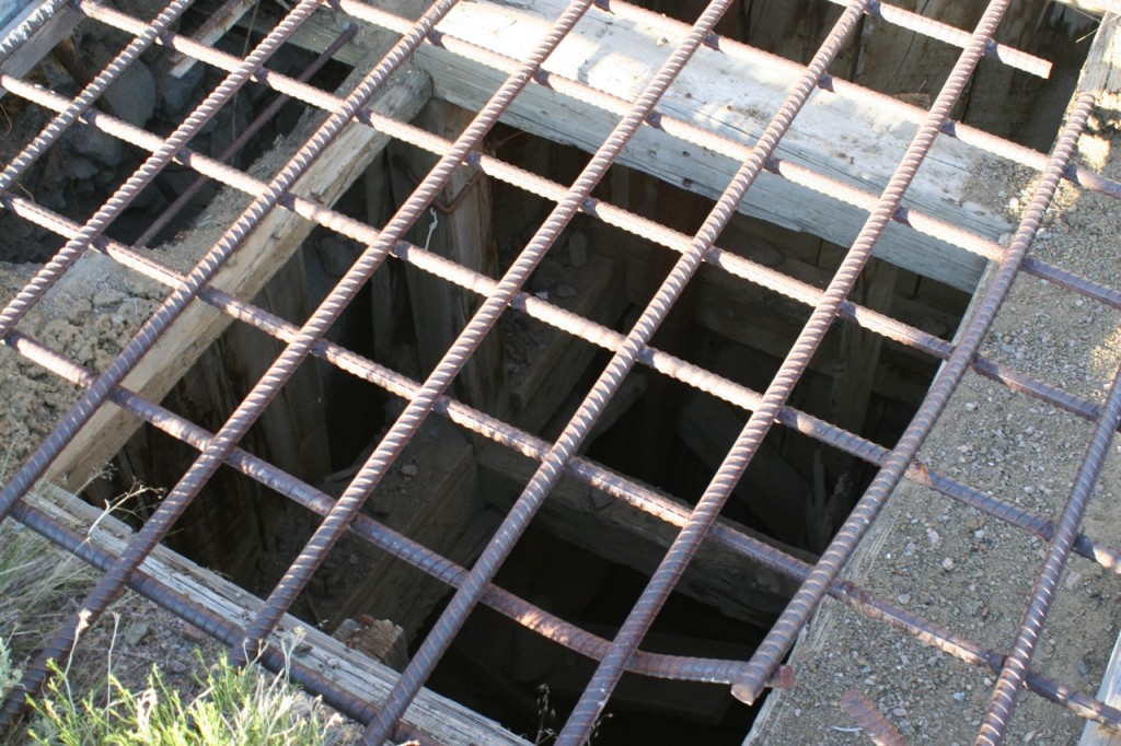 IMG_8423