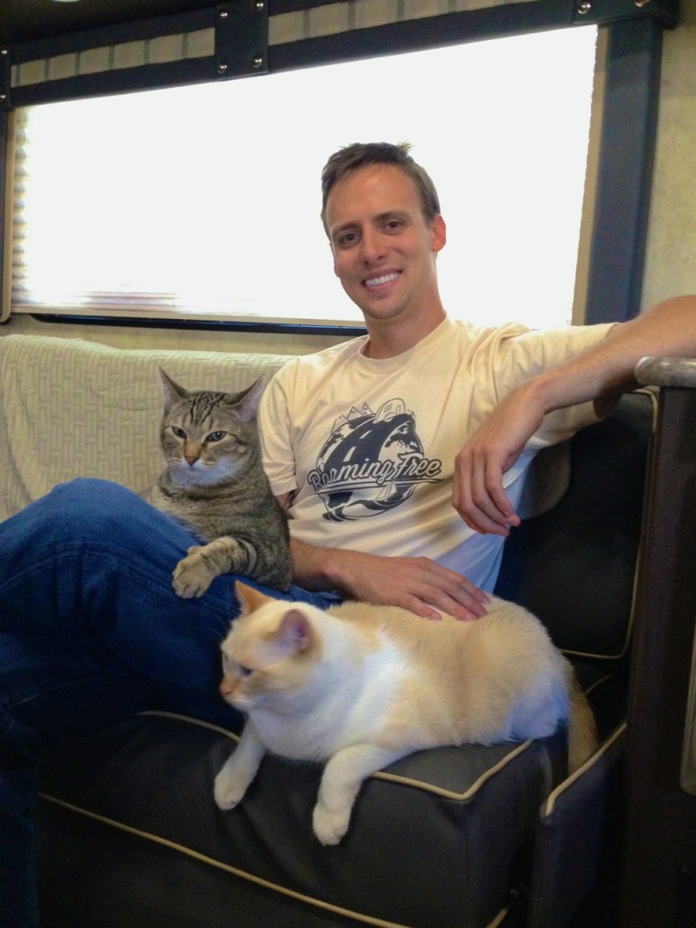 brandoncatsintrailer